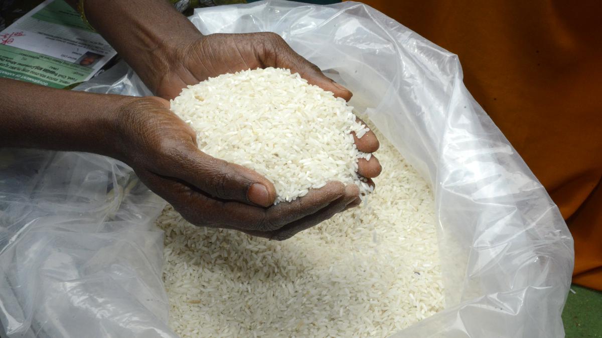 Rice_09