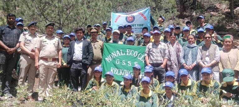 Kinnaur: रिकांगपिओ फॉरेस्ट कॉलोनी में पौधरोपण-जागरूकता अभियान, चिलगोजे के 40 पौधे रोपित