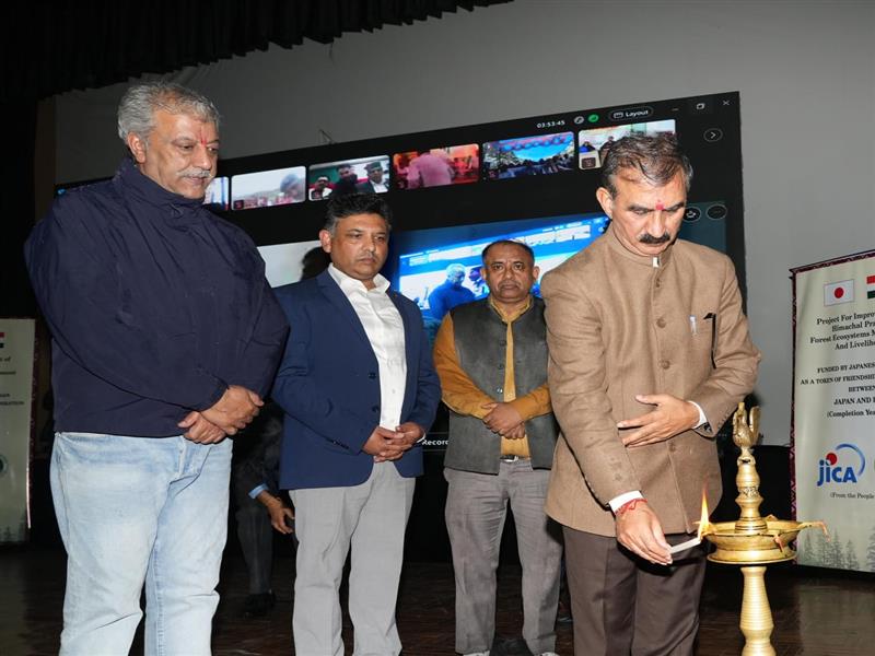 Shimla: मुख्यमंत्री ने किया राज्य स्तरीय वन महोत्सव 2025 का शुभारंभ