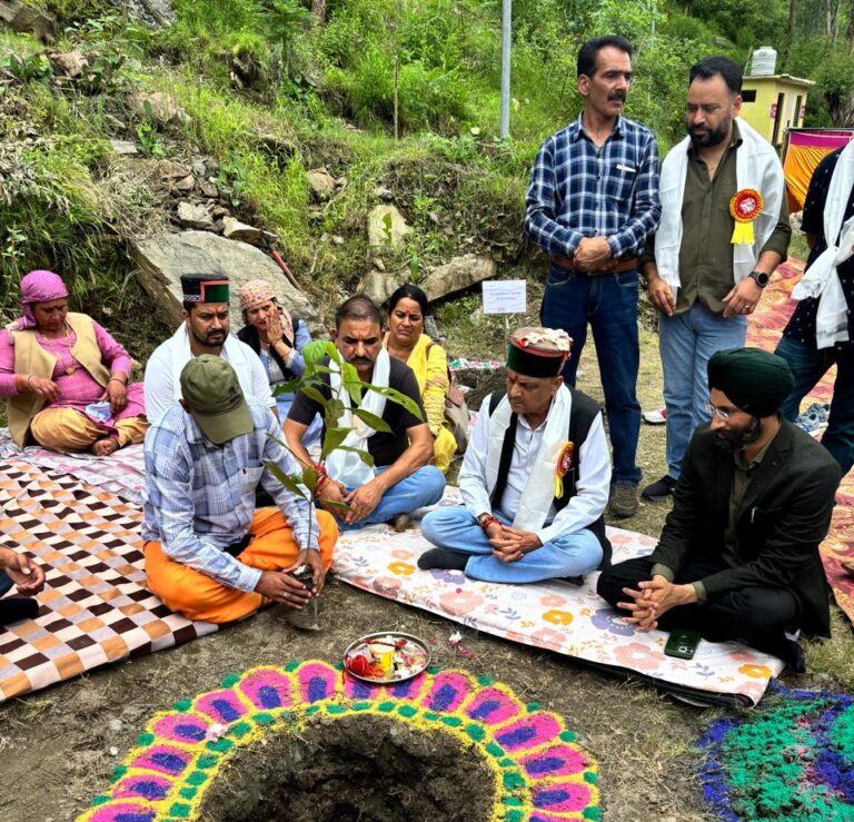 Rampur Bushahr: 76वां वन महोत्सव: रामपुर वन मंडल में राजीव गांधी वन संवर्धन योजना का शुभारंभ, ग्रामीणों को मिलेगा रोजगार
