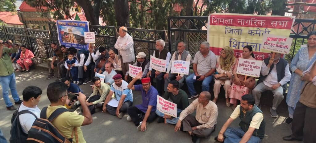Shimla: शिमला में कुत्तों और बंदरों की बढ़ती समस्या पर शिमला नागरिक सभा का धरना