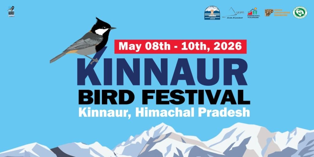 Kinnaur: किन्नौर में पहली बार ‘किन्नौर बर्ड फेस्टिवल’ 8–10 मई तक, जैव विविधता संरक्षण और स्लो टूरिज्म को मिलेगा बढ़ावा