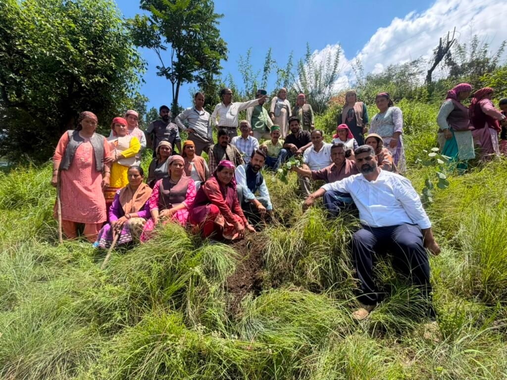 Rampur Bushahr: भाजपा नेता कौल सिंह नेगी ने किया पौधरोपण, ‘एक पेड़ माँ के नाम’ अभियान से जुड़ने का किया आह्वान