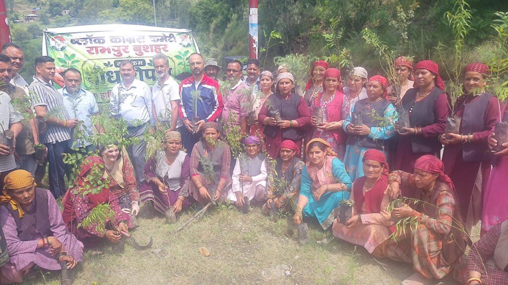 Rampur Bushahr: ब्लॉक कांग्रेस कमेटी रामपुर ने चलाया पौधारोपण अभियान, रोपे 200 पौधे